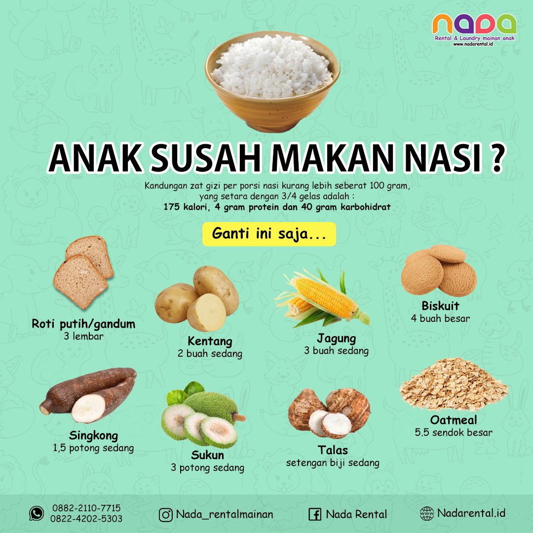 PENGGANTI NASI